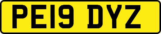 PE19DYZ