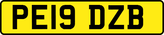 PE19DZB