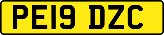 PE19DZC