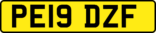 PE19DZF