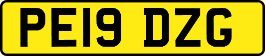 PE19DZG