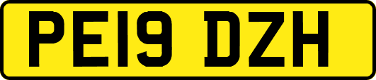 PE19DZH
