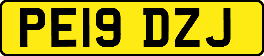 PE19DZJ