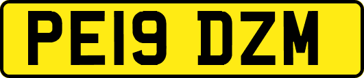 PE19DZM