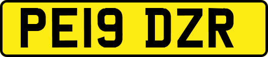 PE19DZR