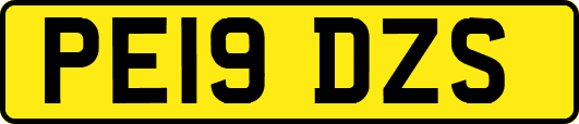 PE19DZS