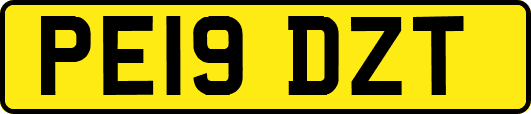 PE19DZT