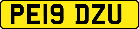 PE19DZU