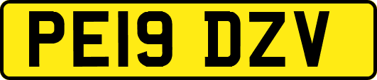 PE19DZV