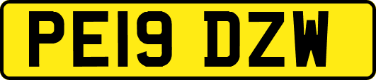 PE19DZW
