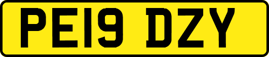 PE19DZY