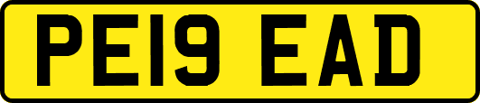 PE19EAD