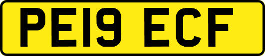 PE19ECF
