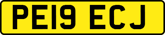 PE19ECJ
