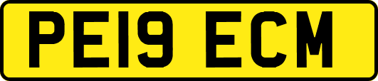 PE19ECM