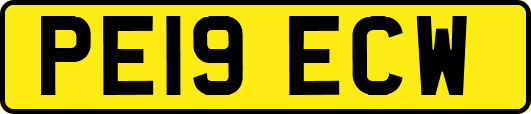 PE19ECW