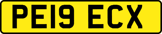 PE19ECX