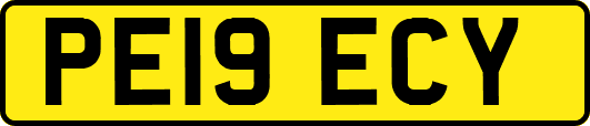 PE19ECY