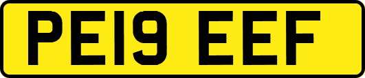 PE19EEF
