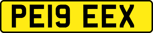 PE19EEX