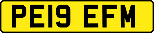 PE19EFM