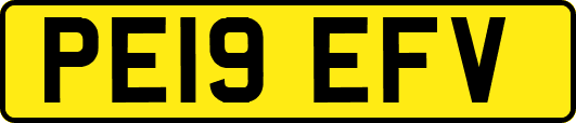 PE19EFV