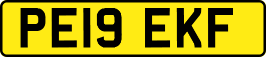 PE19EKF