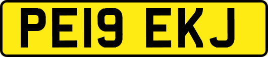 PE19EKJ