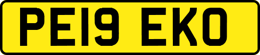 PE19EKO