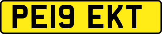PE19EKT