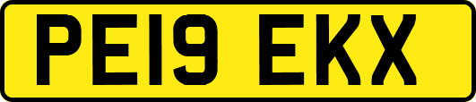 PE19EKX