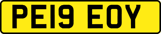 PE19EOY