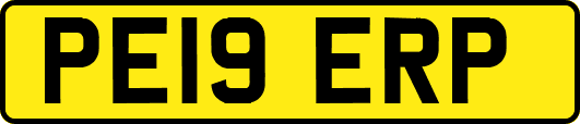 PE19ERP