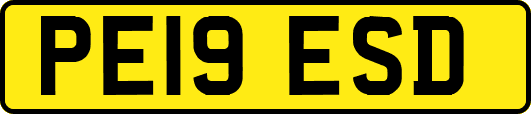 PE19ESD
