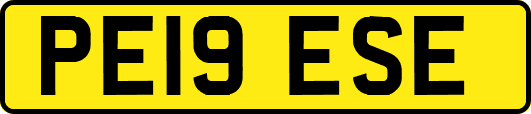 PE19ESE