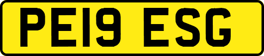 PE19ESG