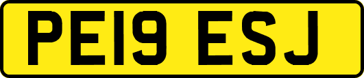 PE19ESJ