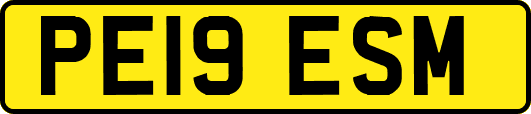 PE19ESM