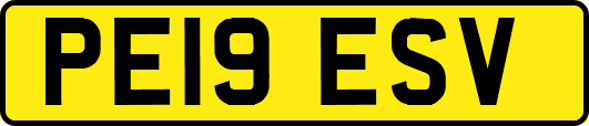 PE19ESV