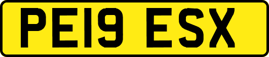 PE19ESX