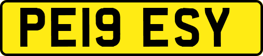 PE19ESY