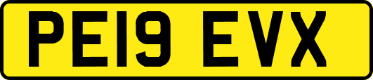 PE19EVX