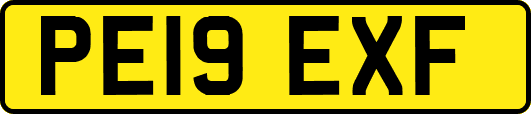 PE19EXF
