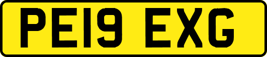 PE19EXG