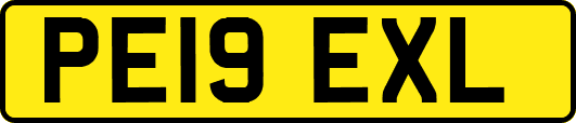 PE19EXL