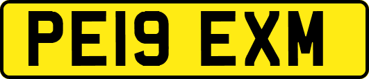 PE19EXM