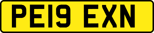 PE19EXN