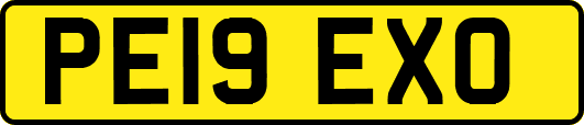 PE19EXO