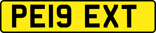 PE19EXT