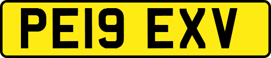PE19EXV